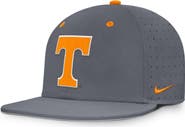 Nike Men's Nike Gray Tennessee Volunteers Dugout True Dri-FIT Fitted Hat