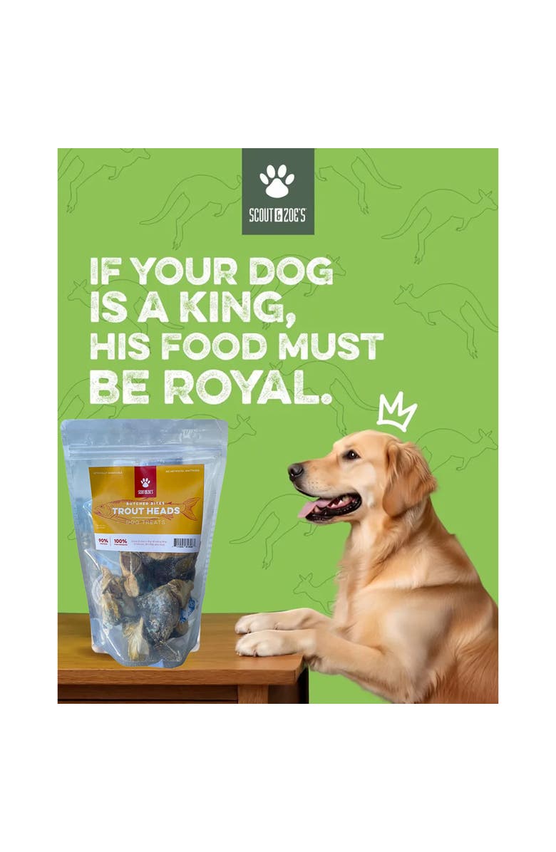 Scout & Zoe's Trout Heads, 6oz Dog & Cat Treats, Freeze Dried Fish, Crunchy, Alternate, color, Multicolored