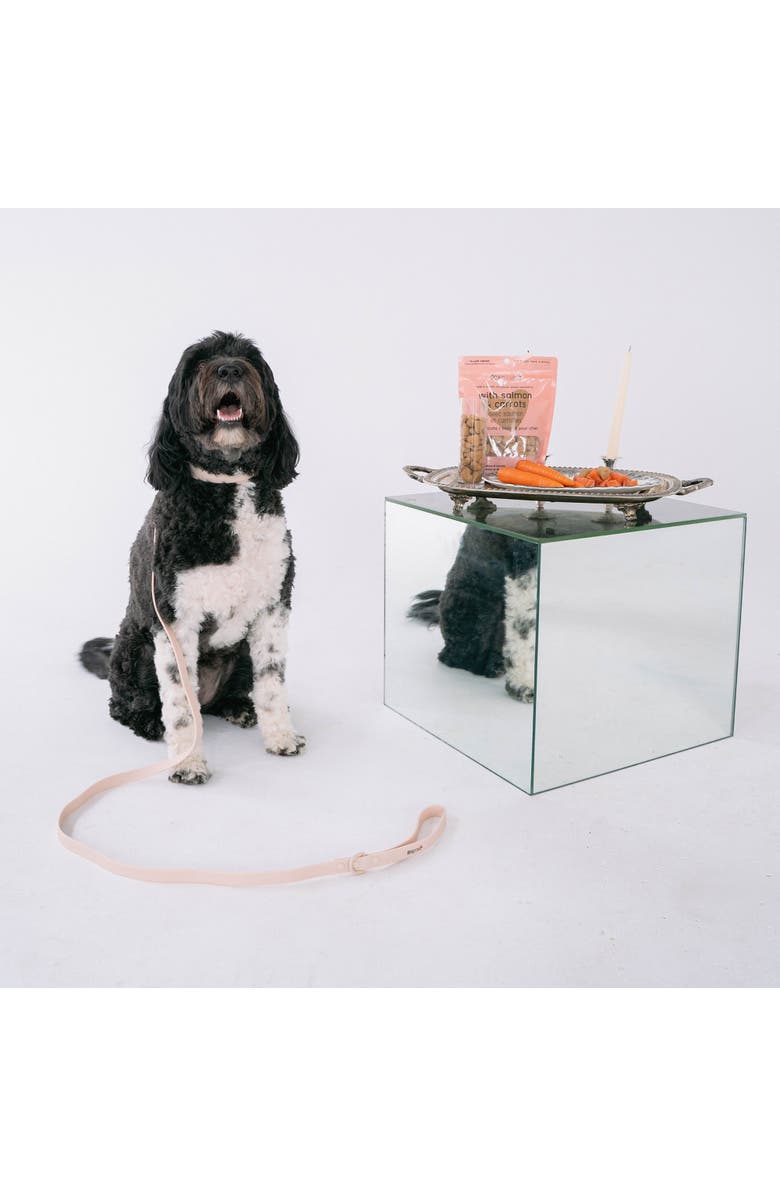 Dexypaws Salmon & Carrot Dog Biscuits 12oz All Natural Pet Treats, Alternate, color, Brown