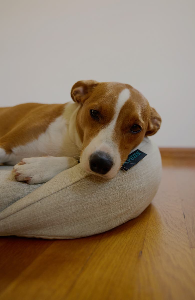 HigherDOSE Infrared PEMF Pet Bed, Alternate, color, 