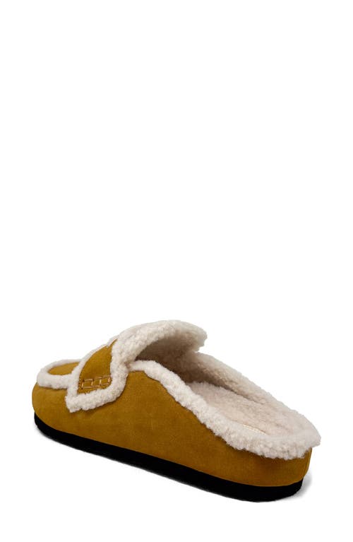 Shushop Tanya Loafer Mule In Multi