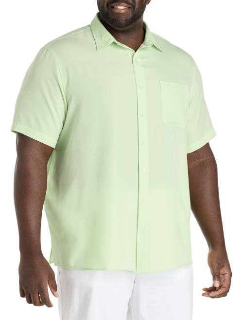 Harbor Bay By Dxl Microfiber Comfort Grid Sport Shirt In Pastel Green