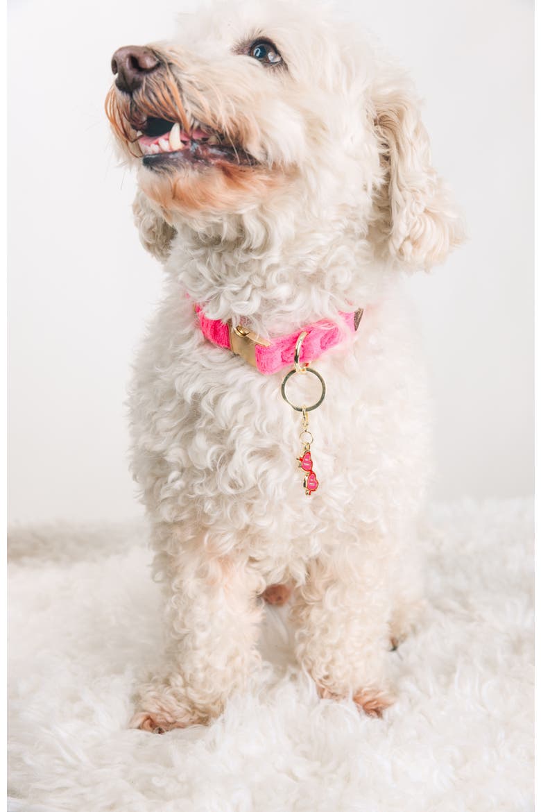 Sunglasses Pet Collar Charm, Alternate, color, Sunglasses