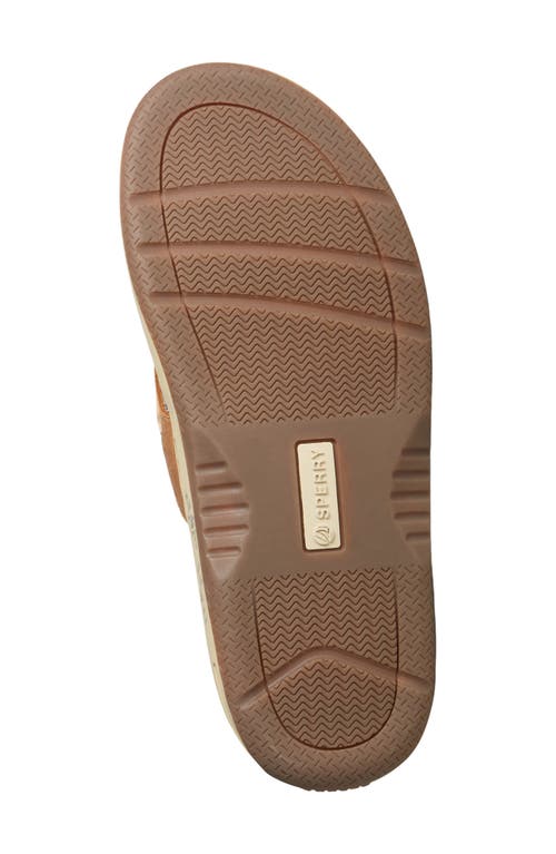 Sperry Baitfish Flip Flop In Brown