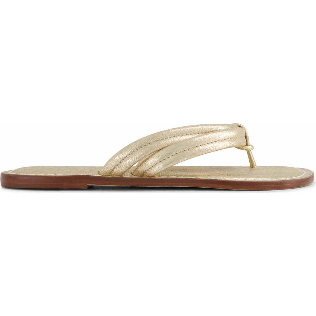 Bernardo Footwear Miami Thong Sandal In Distressed Platinum