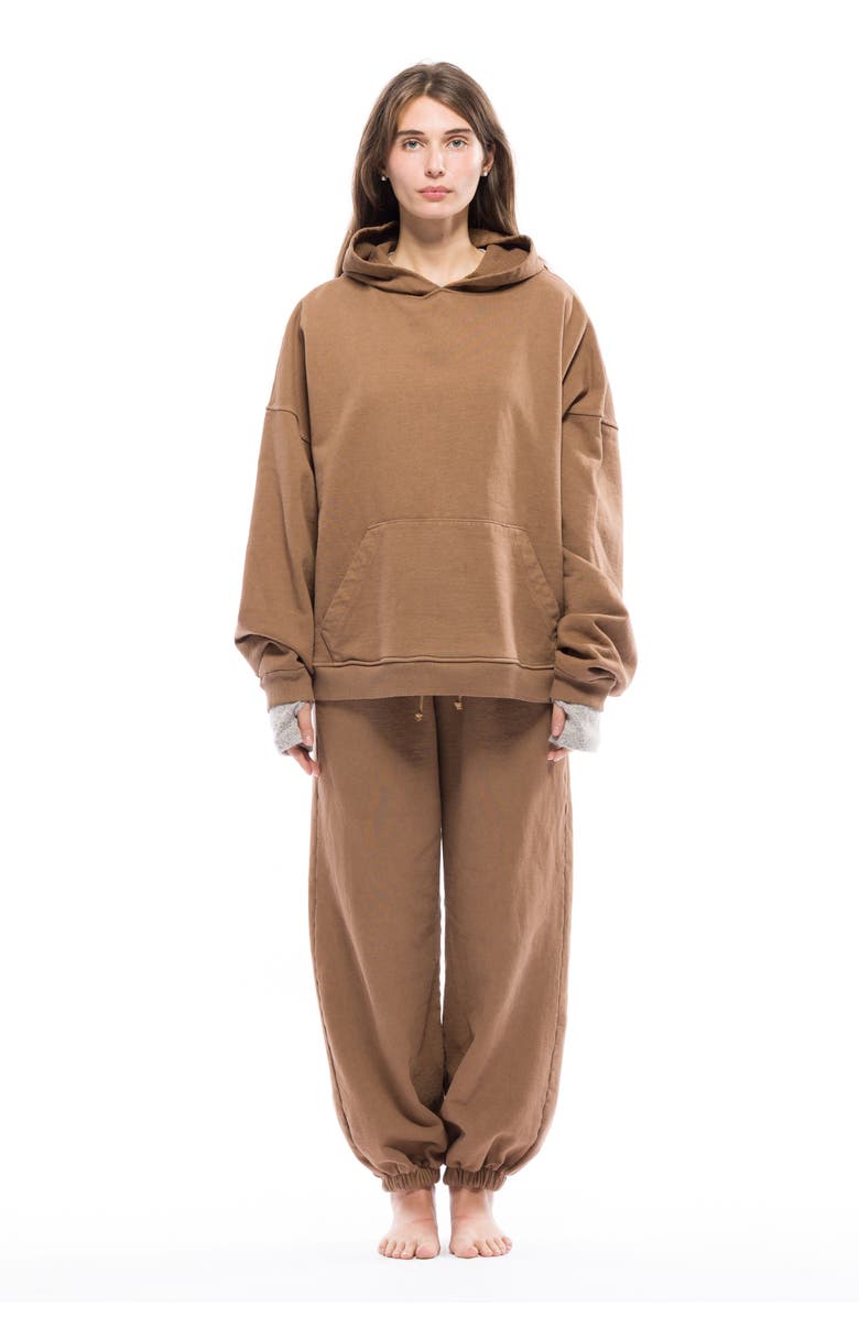 Toit Volant Oversize Wide Hoodie, Alternate, color, Chestnut