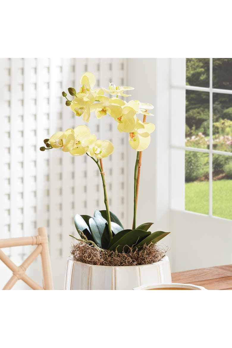 Phalaenopsis Orchid Artificial Plant Drop-In, Alternate, color, Yellow