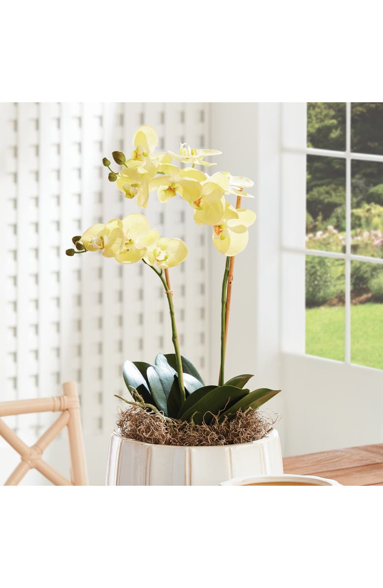 Napa Home & Garden Phalaenopsis Orchid Artificial Plant Drop-In, Alternate, color, Yellow