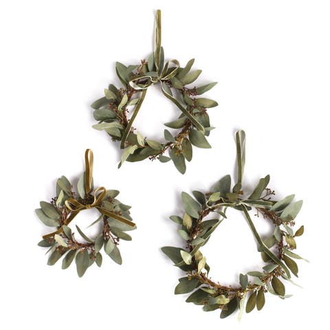 Eucalyptus Wreaths Set of 3