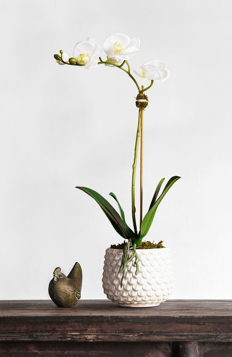 Bloomr Pearl Orchid Planter Decoration, Alternate, color, 