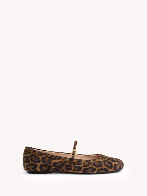 Gianvito Rossi Carla Leopard Print Ballet Flats In Leopard Brown