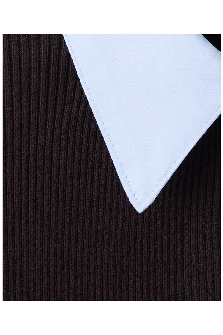 Contrast Collar Short Sleeve Rib Sweater, Alternate, color, CHOCOLATE