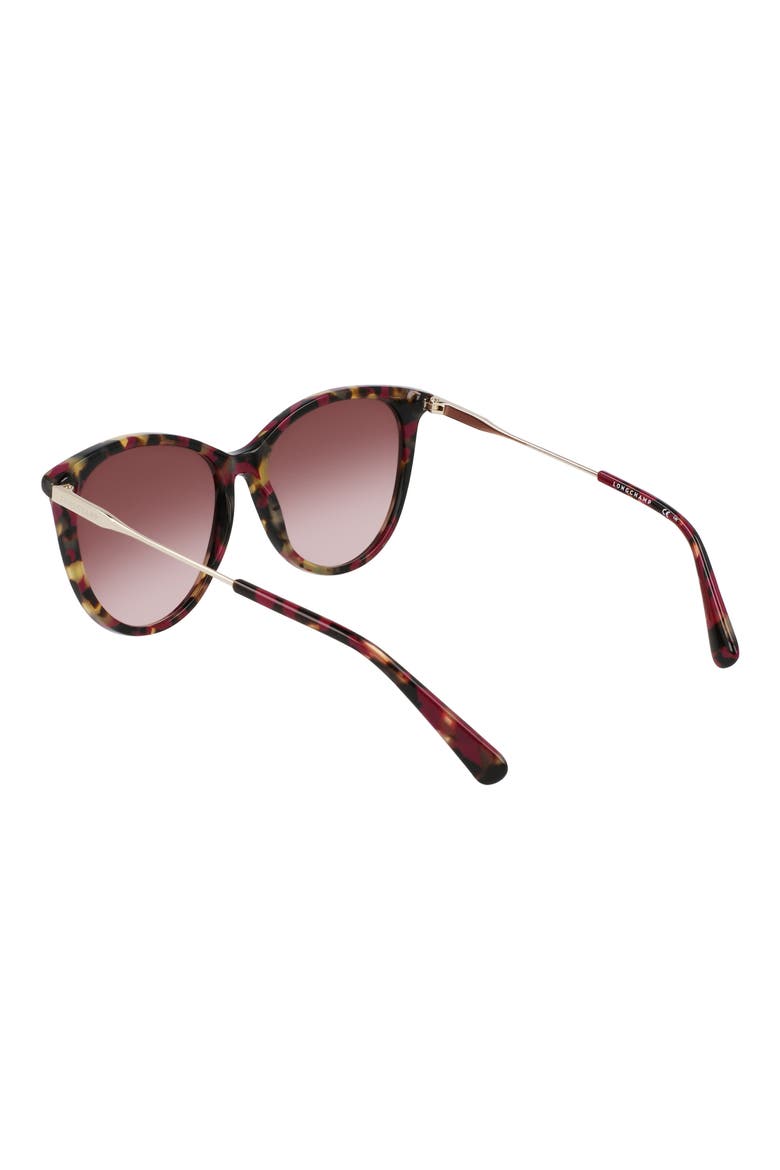 55mm Gradient Tea Cup Sunglasses, Alternate, color, RED HAVANA