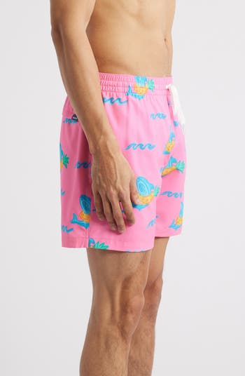 Pineapple Floaters Classic Lined 5.5-Inch Swim Trunks