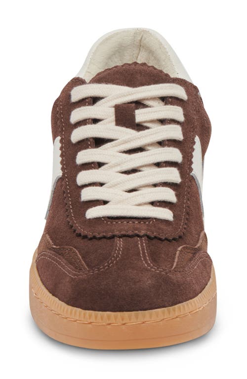 Dolce Vita Notice Sneakers Dk Brown Suede In Brown