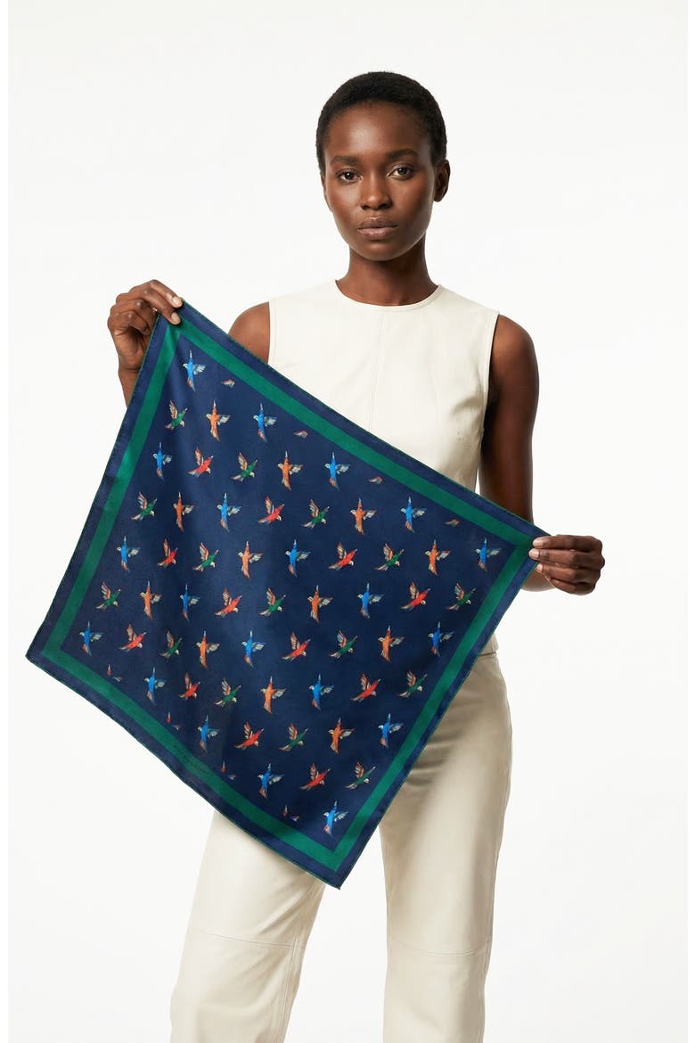 Freedom Wings Double Sided Silk Scarf, Alternate, color, blue