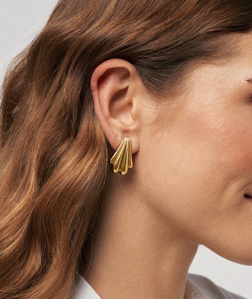 Hey Harper Diana Earrings In Brown