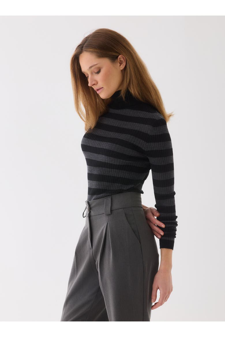 Merino Superfine Rib Knit Stripe Turtleneck, Alternate, color, NOIR/ANTHRACITE CHINE
