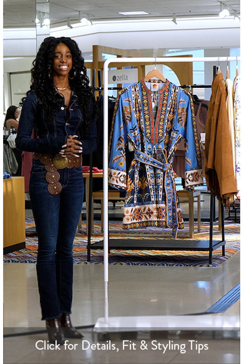 Embroidered Tapestry Long Sleeve Minidress video
