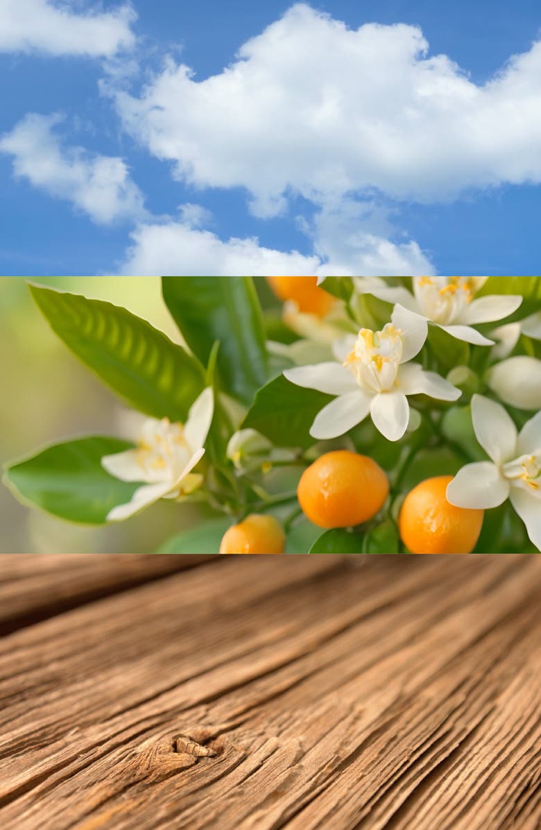 House of Bo Agua de Santos Parfum, Alternate, color, 