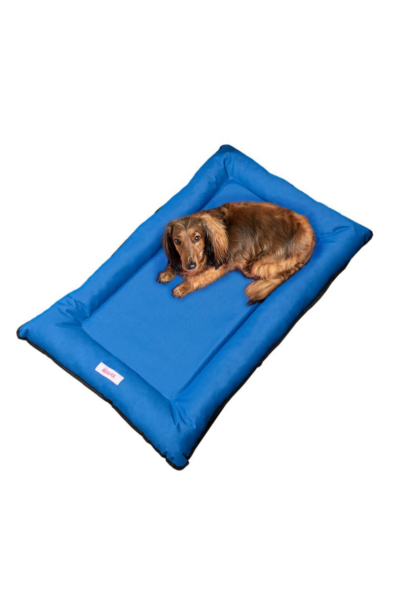 Archie Traditional Oxford Waterproof Indoor/Outdoor Hand-Washable Memory Foam Camping Pet Bed, Main, color, Blue