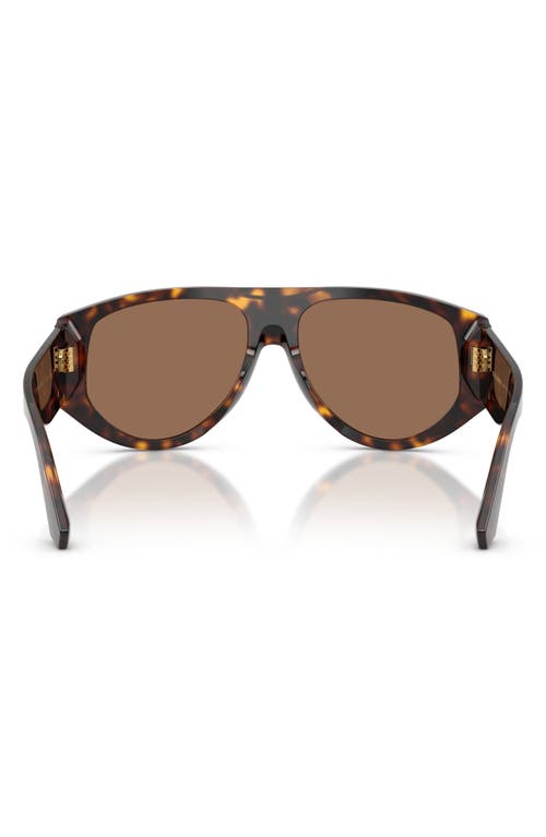 Dolce & Gabbana Dg4499 Aviator Acetate Sunglasses In Brown