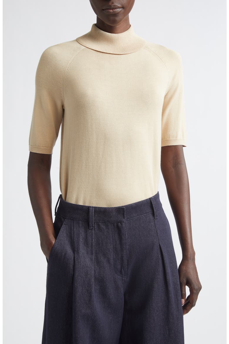 Raglan Sleeve Turtleneck Sweater, Main, color, PLASTER