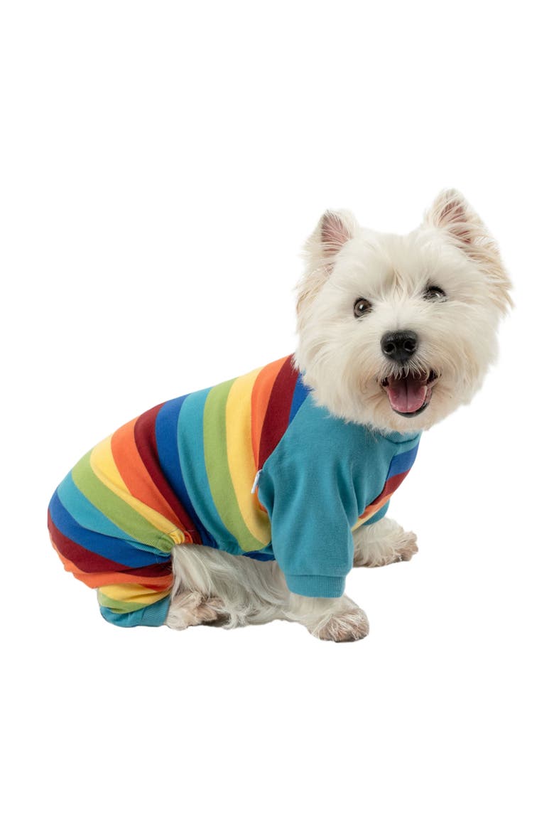 Dog Cotton Striped Matching Family Holiday Pajamas, Main, color, Colorful Boys