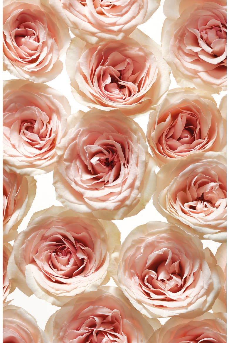 Jolie Fleur - Rose Eau de Parfum Spray, Alternate, color, NO COLOR
