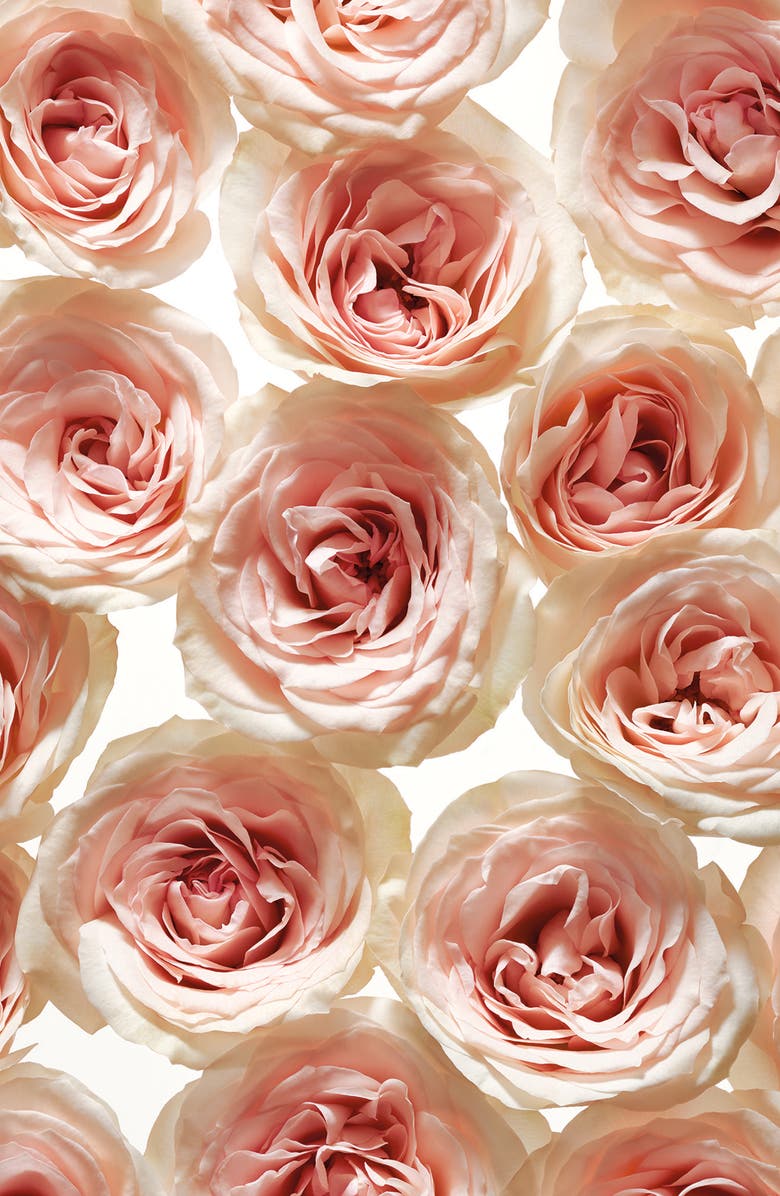 Tory Burch Jolie Fleur - Rose Eau de Parfum Spray, Alternate, color,