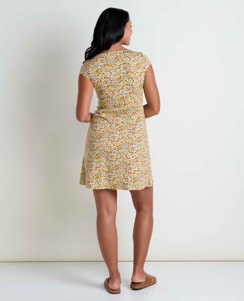Toad And Co Toad & Co Rosemarie Dress In Multi
