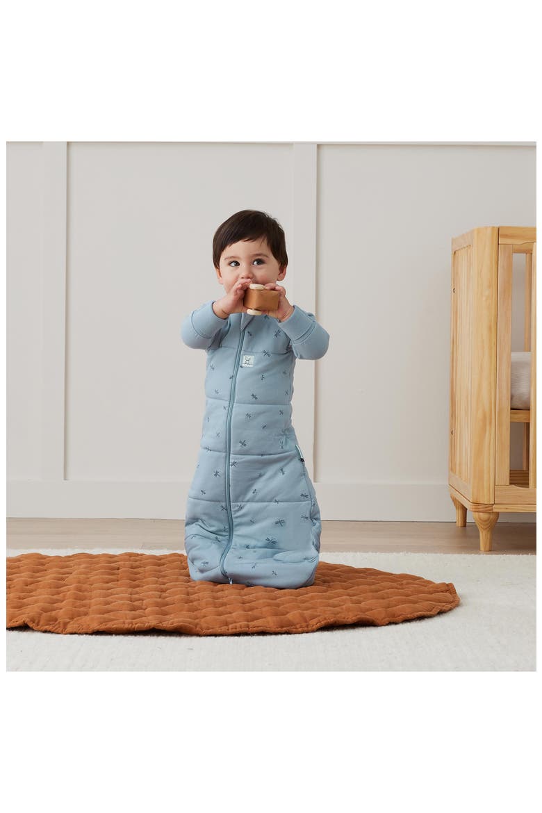 3.5 TOG Convertible Sleep Suit Bag, Alternate, color, DRAGONFLIES