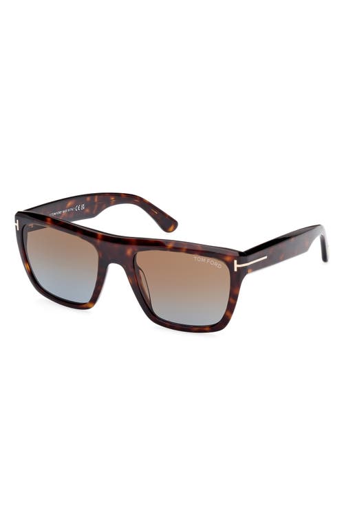 Tom Ford Alberto 55mm Square Sunglasses