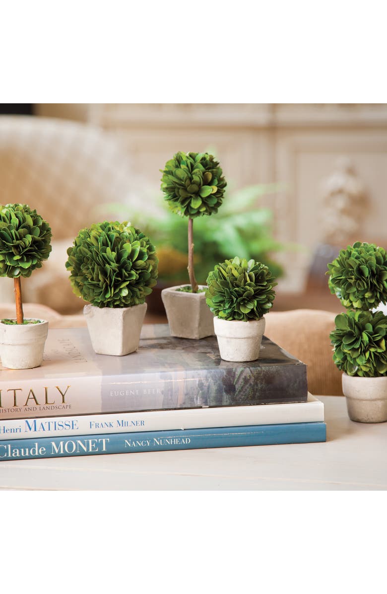 Napa Home & Garden Boxwood Mini Faux (Fake) Topiaries In Pots Set of 5, Alternate, color, Green