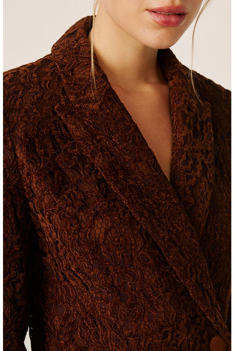Velvet Lace Blazer, Alternate, color, Tejus