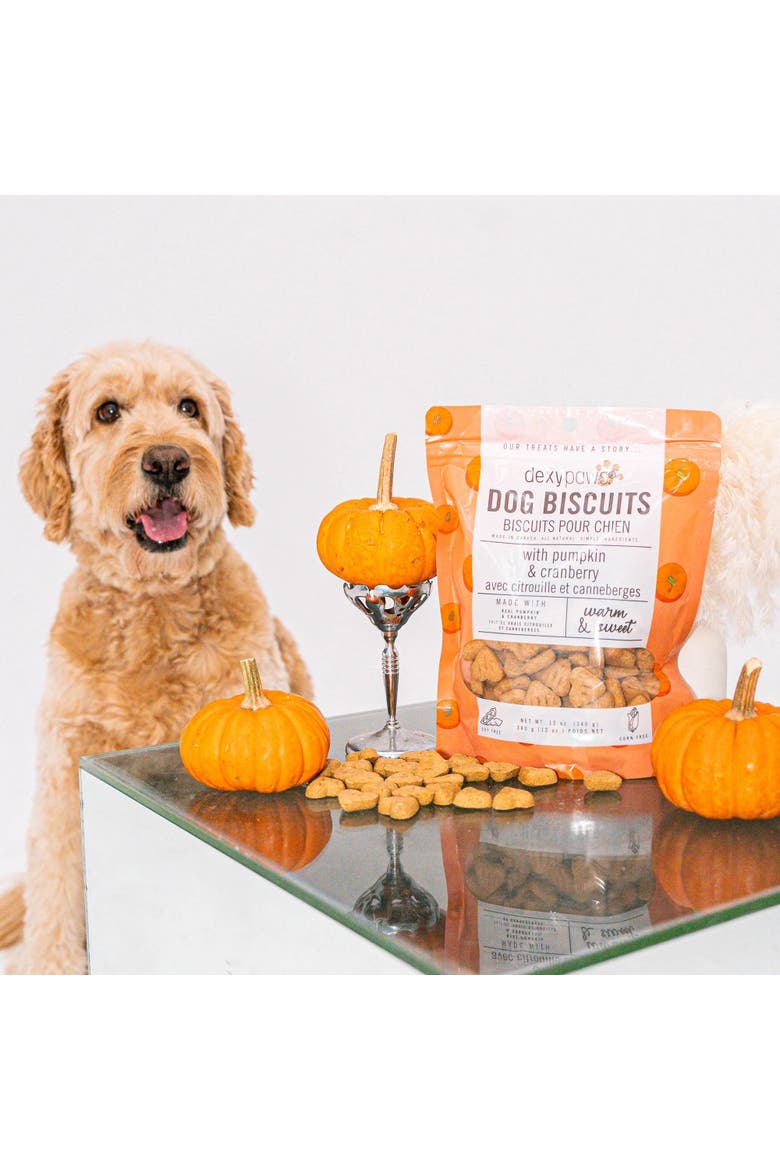 Pumpkin & Cranberry Dog Biscuits 12oz, Alternate, color, Brown