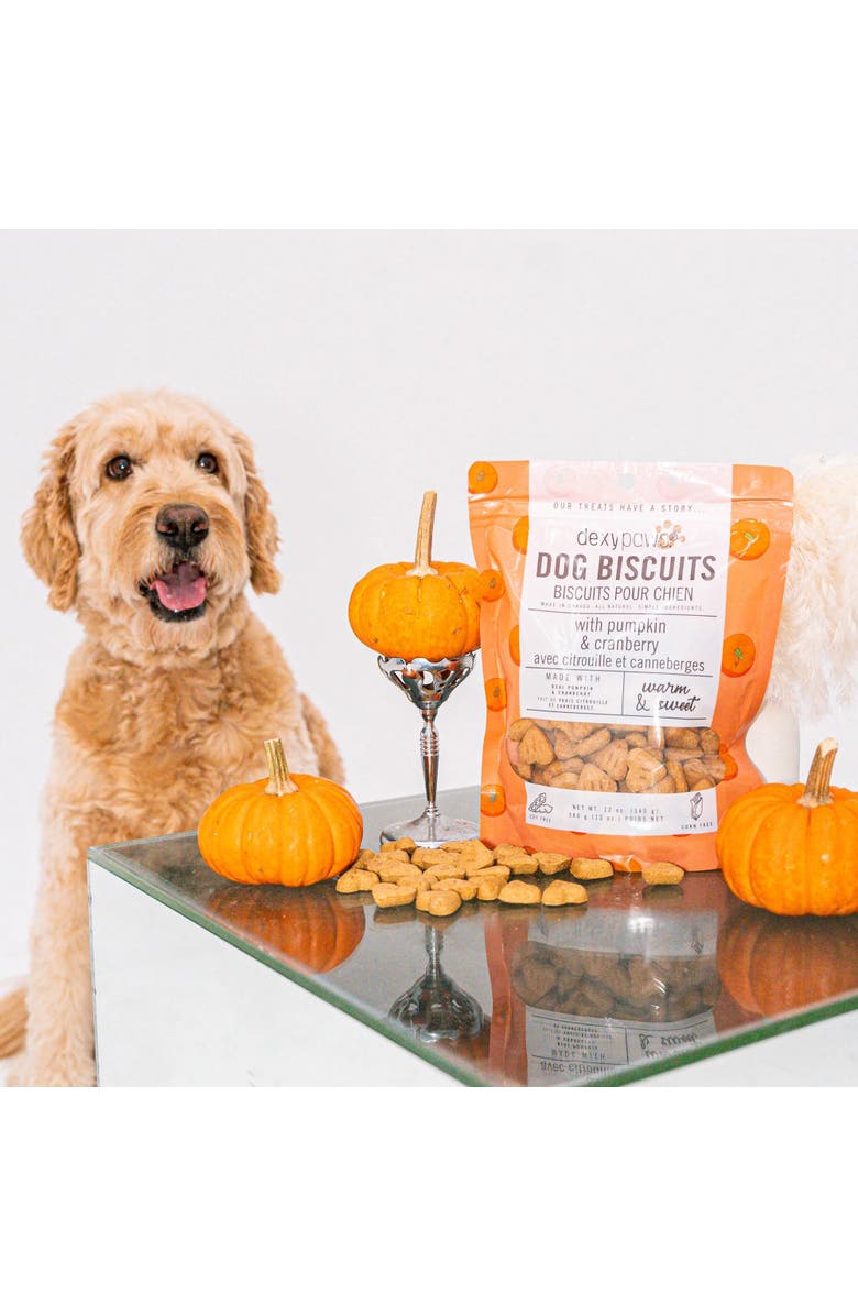 Dexypaws Pumpkin
Cranberry Dog Biscuits 12oz, Alternate, color, Brown