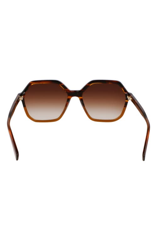 Longchamp Heritage 56mm Gradient Modified Rectangular Sunglasses In Striped Brown/brown
