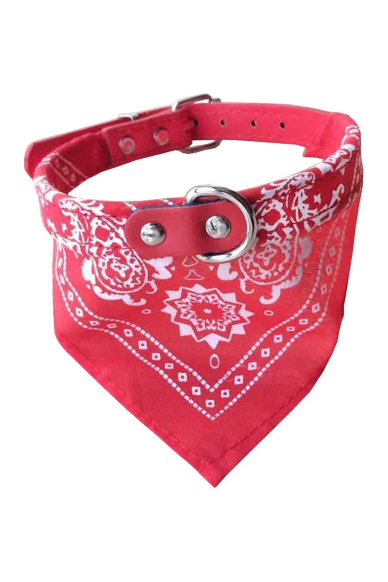 DOGS OF GLAMOUR Large Red Bandana Dog Collar | Nordstromrack