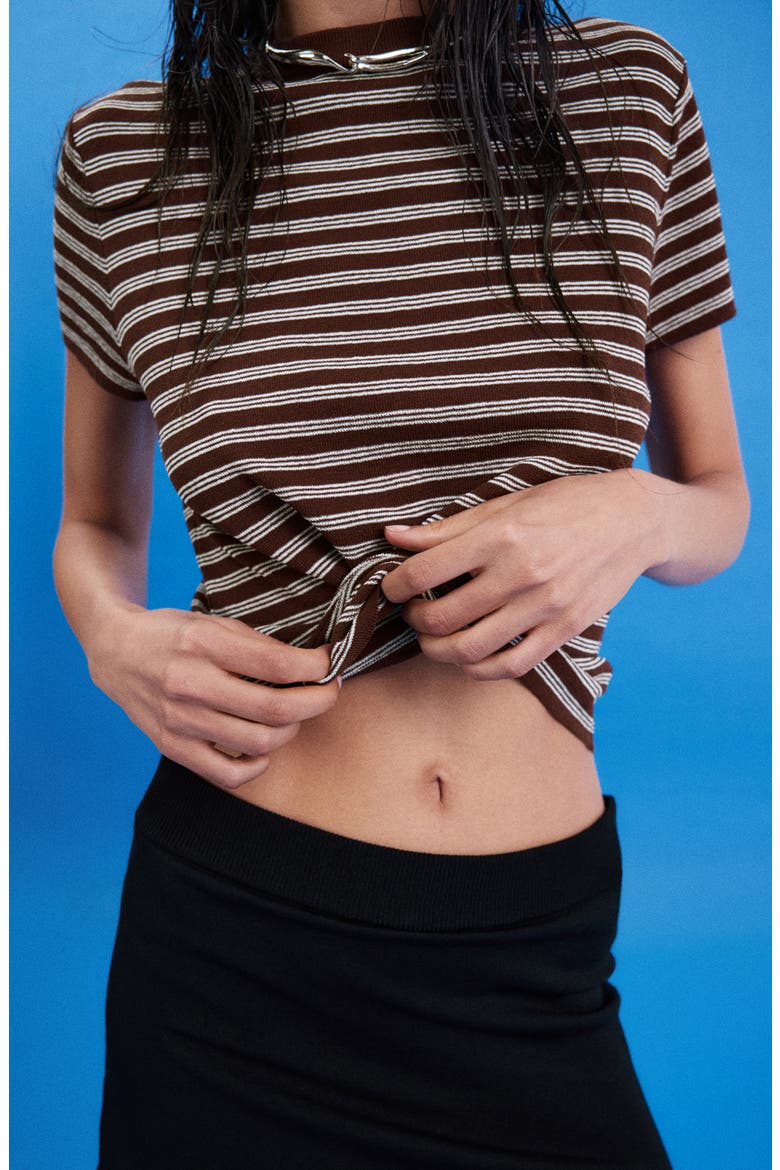 Striped Ribbed Short Sleeve Sweater, Alternate, color, CHOCOLATE