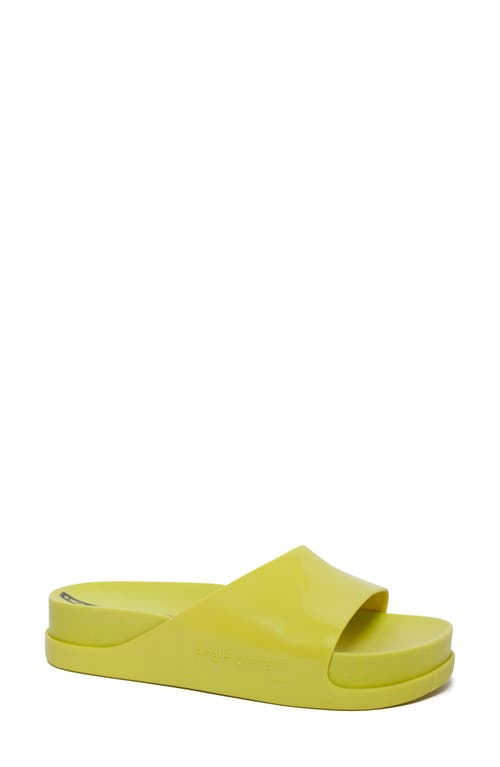 Unity in Diversity Soul Flatform Slide Sandal in Lime Lime 