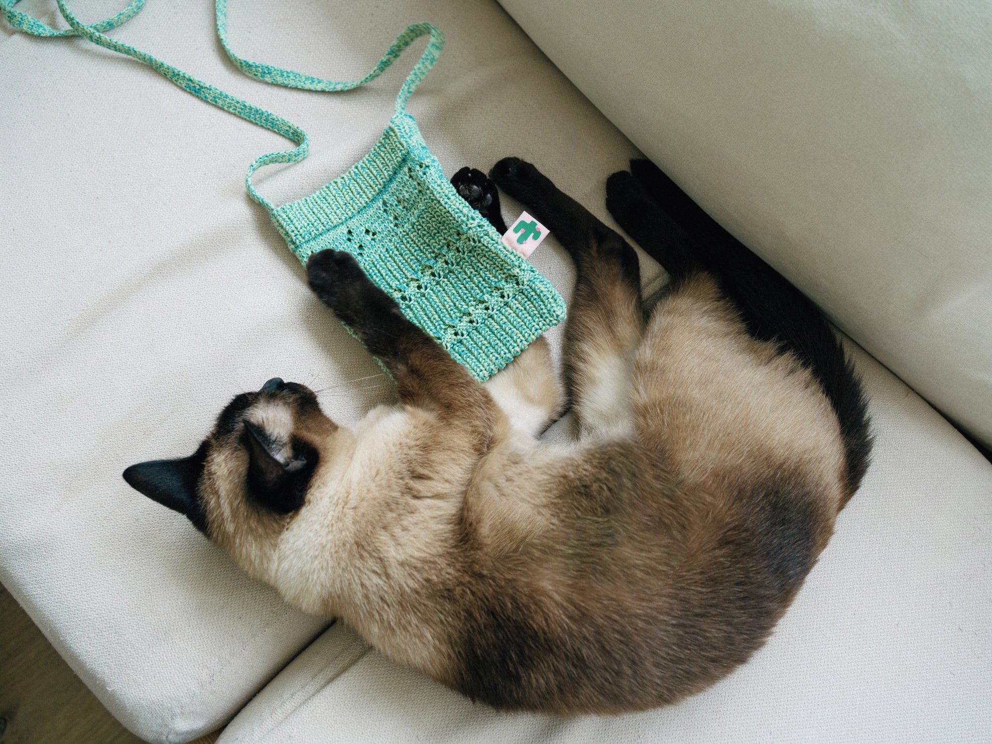 Lost Pattern NYC "Cactus" Crochet Crossbody Phone Bag, Alternate, color, Peppermint