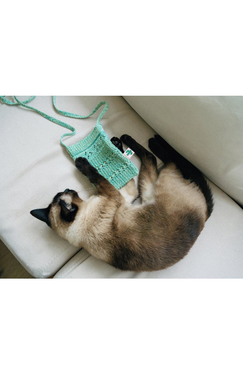 Lost Pattern NYC "Cactus" Crochet Crossbody Phone Bag, Alternate, color, Peppermint