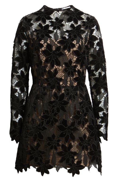 Lucy Paris Zia Velvet Floral Lace Long Sleeve Cocktail Minidress In Black