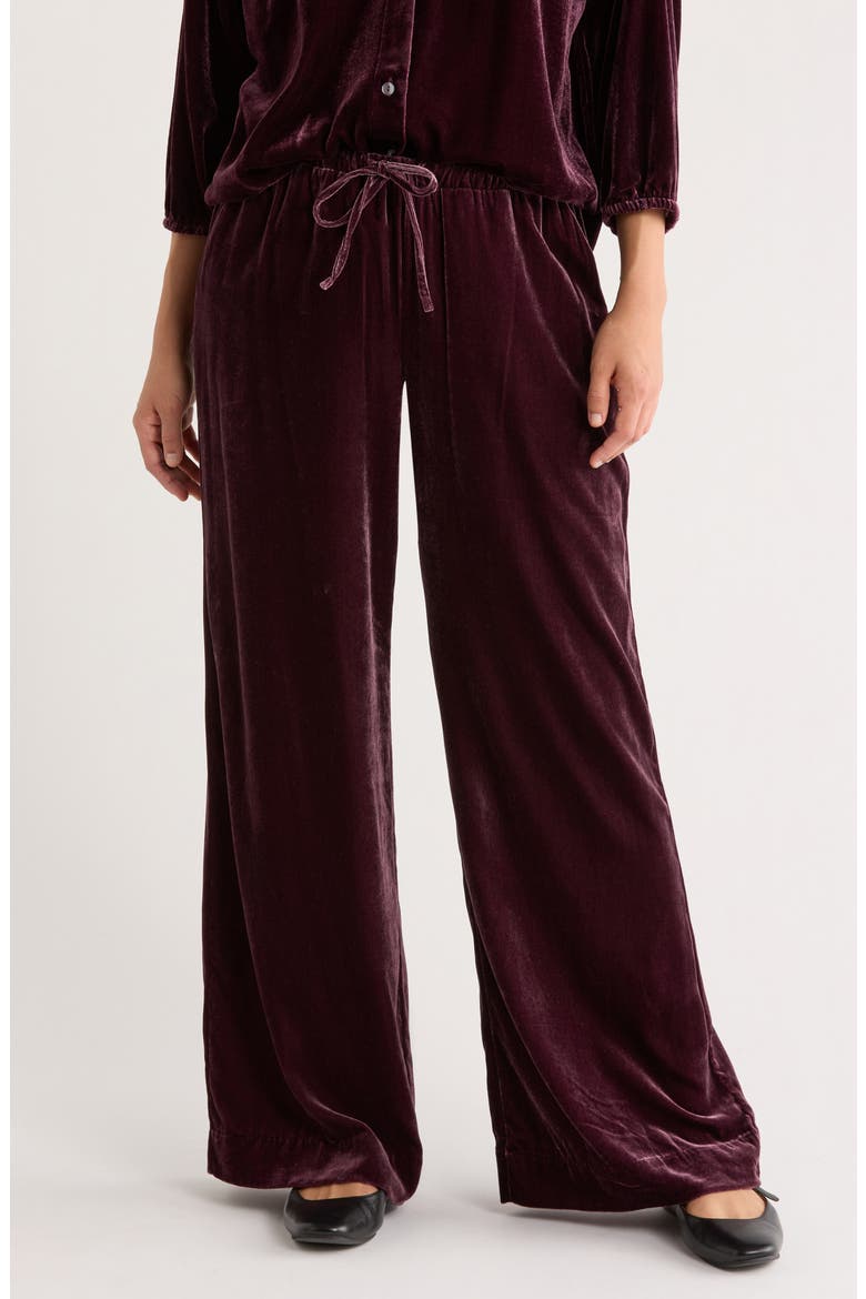 Bella Velvet Drawstring Pants, Main, color, FIG