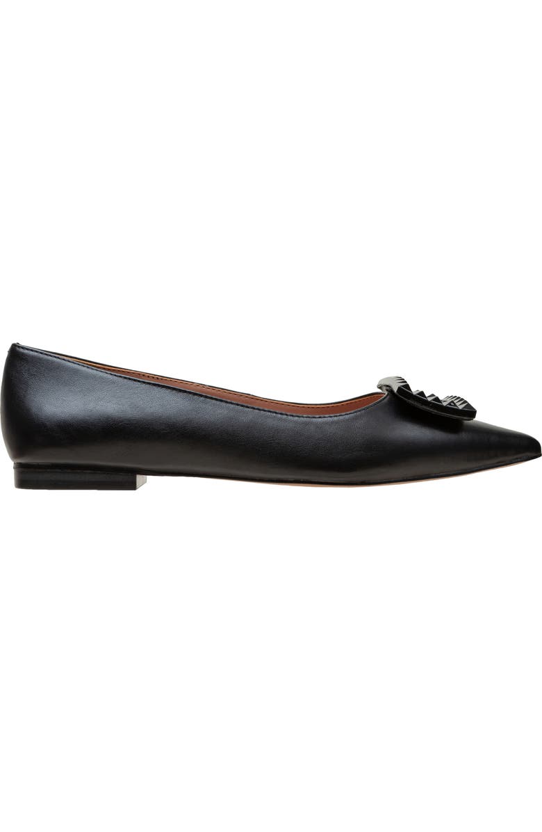 Linea Paolo Nolene Pointed Toe Flat, Alternate, color, Black