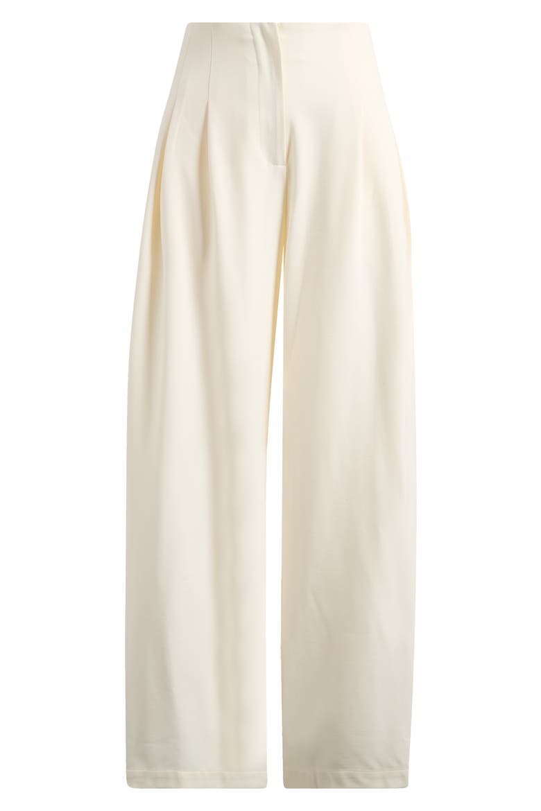 Mischa Clean Waist Pleated Wide Leg Pants, Alternate, color, CREAM