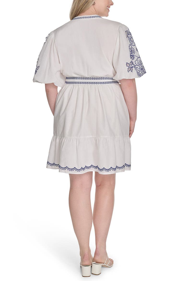 Embroidered Detail Short Sleeve Cotton Shirtdress, Alternate, color, IVORY BLUE