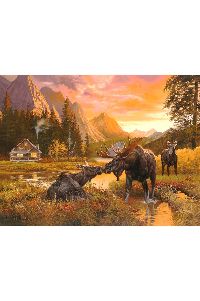 Meadow Meeting 300, Alternate, color, Multicolor