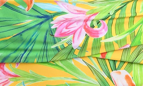 La Blanca Calypso Mid Rise Bikini Bottoms